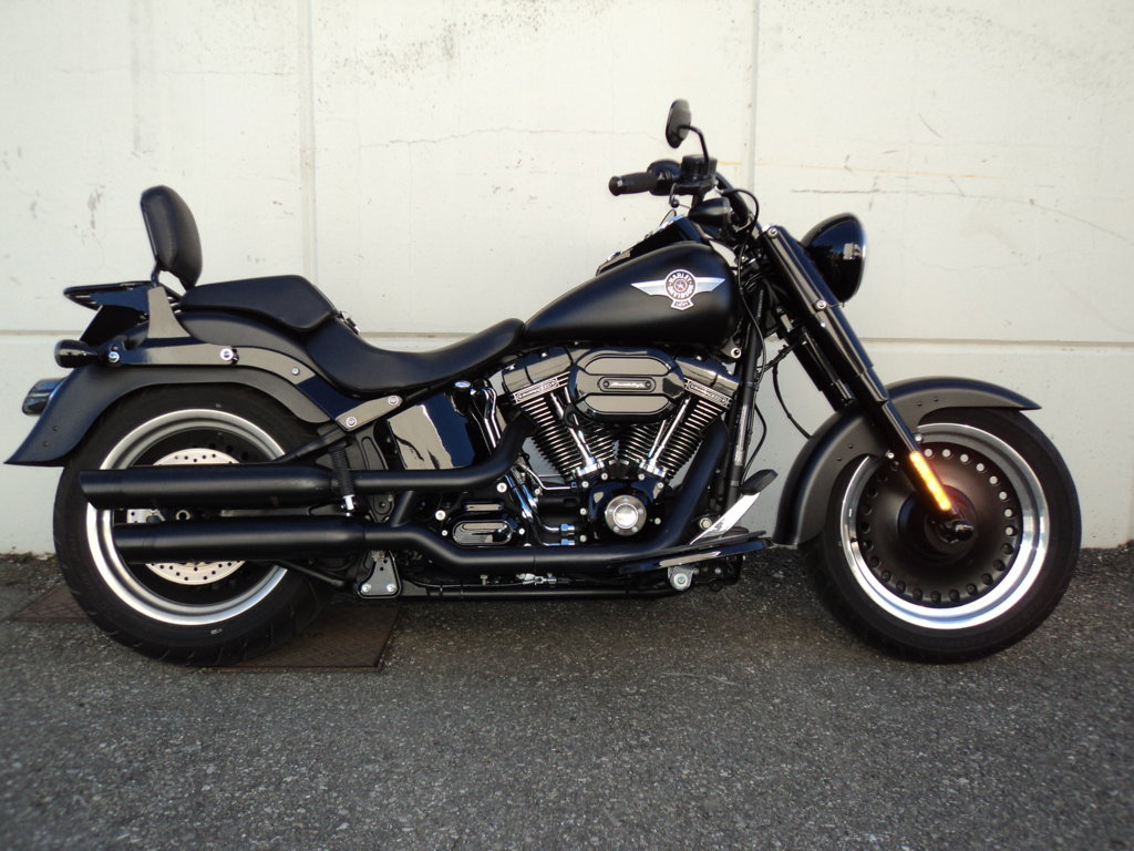 Harley Davidson Fat boy special 