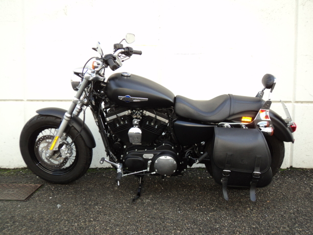 sportster s 1250 usata