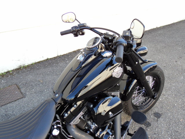 Harley Davidson SLIM S 