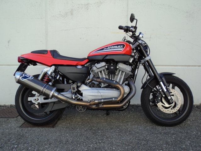 Harley Davidson XR 1200 