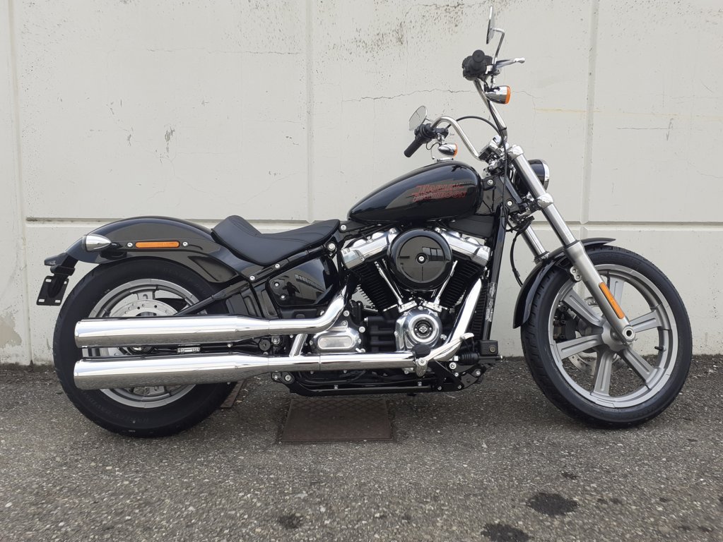 Harley Davidson Softail® Standard vivid black