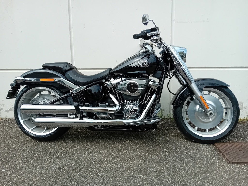 Harley Davidson Fat Boy® vivid black