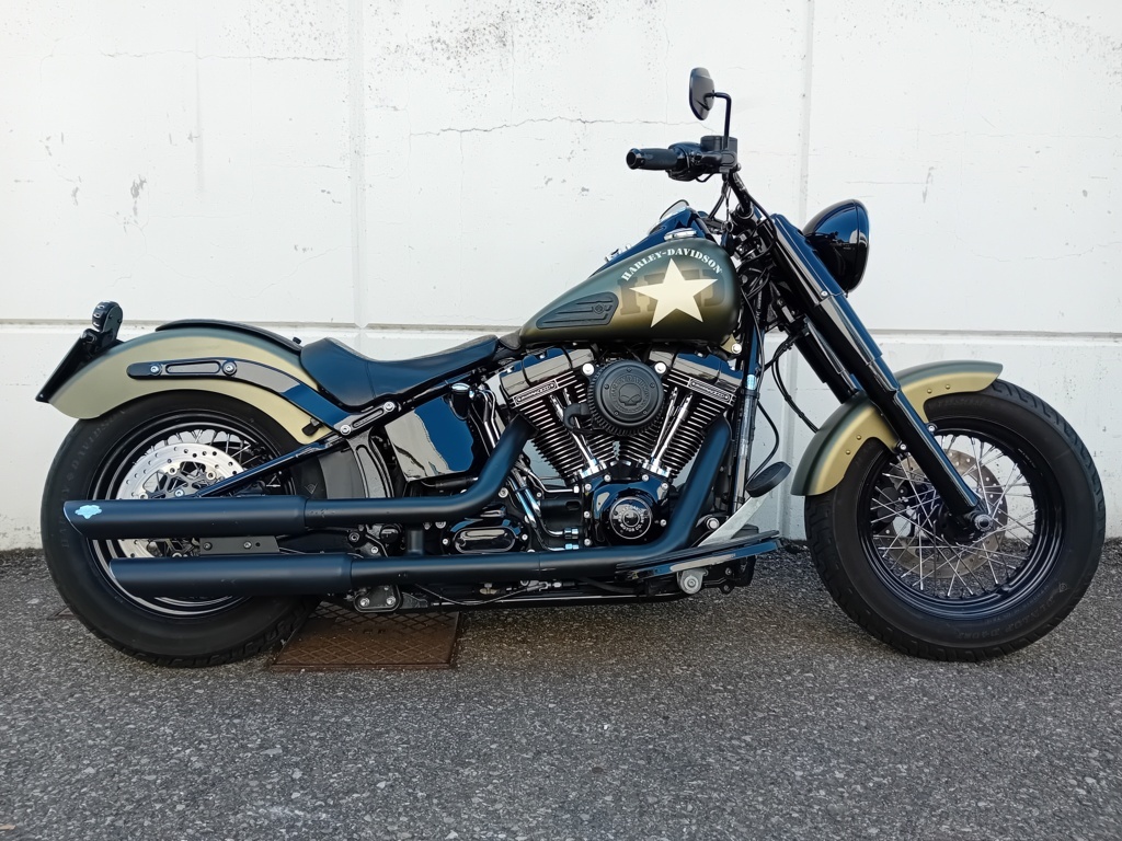 Harley Davidson SLIM S 