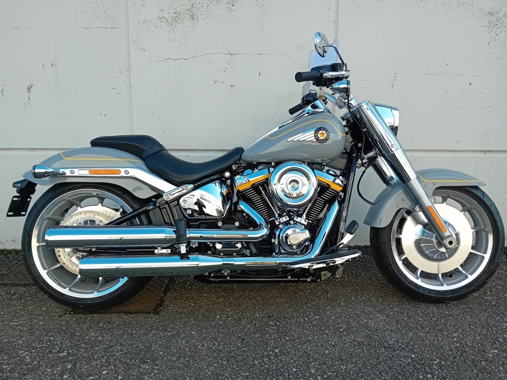 Harley Davidson Fat Boy&reg; BILLIARD GRAY