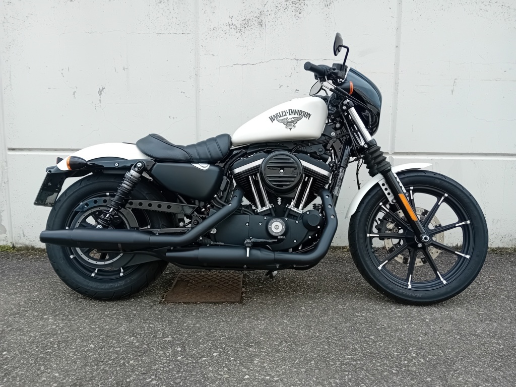 Harley Davidson 883 Iron 